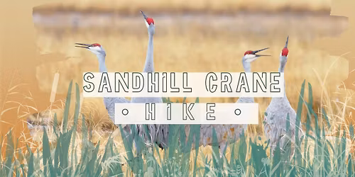 Sandhill Crane Hike