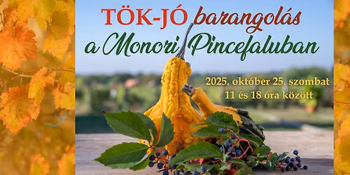T\u00f6k-j\u00f3 barangol\u00e1s a Monori Pincefaluban