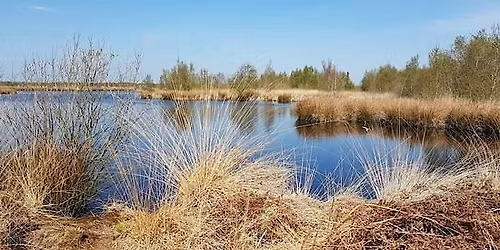 Understanding Birds Outing \u2013 Wildlife of Whixall Moss