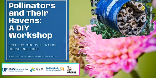 Pollinators and Their Havens: A DIY Workshop