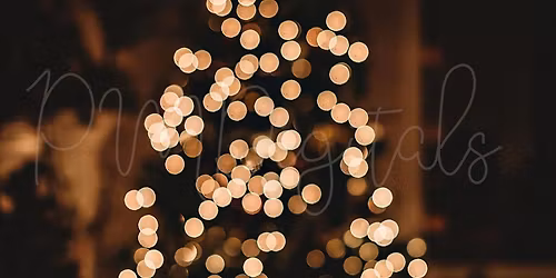 Herald Lodge\u2019s Christmas Light Switch on \u2728\ud83c\udf1f\ud83d\udcab\ud83c\udf20\ud83d\udc9b