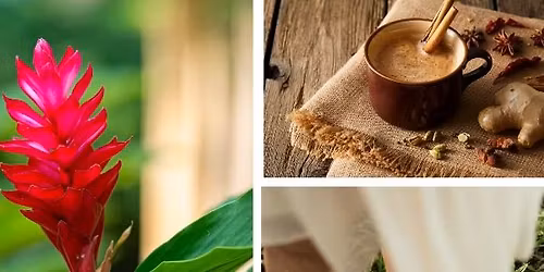 Aromatherapy - Ginger Roots: Grounding in Earth\u2019s Embrace