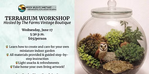 Terrarium Workshop at Busch Wildlife Sanctuary