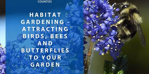 Habitat Gardening - Attracting Birds, Bees and Butterflies to your Garden