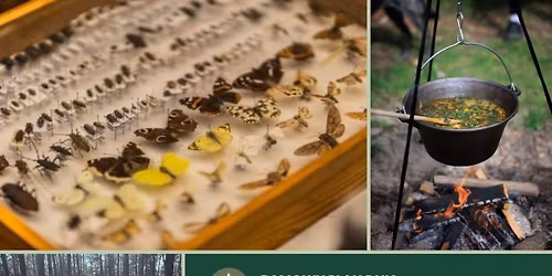 Wakacje z Furtk\u0105 do lasu \u201eLe\u015bna Akademia \u017bycia\u201d