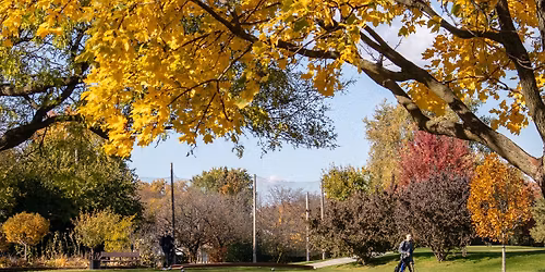 Weber Park Golf Course Turkey Tournament