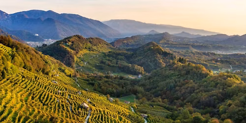 UNA GIORNATA TRA STORIA, NATURA E BOLLICINE NEL CUORE DEI COLLI DEL PROSECCO CON PRANZO INCLUSO