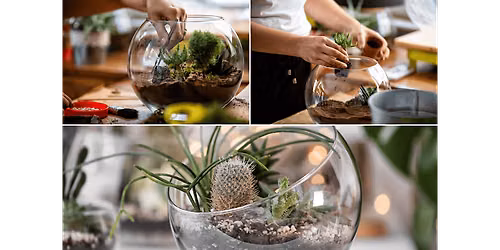 Create Your Own Living Terrarium | West Palm Beach - Art Class by Classpop!\u2122