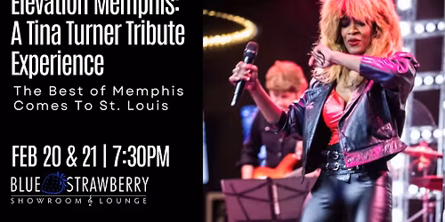 Elevation Memphis: A Tina Turner Tribute Experience