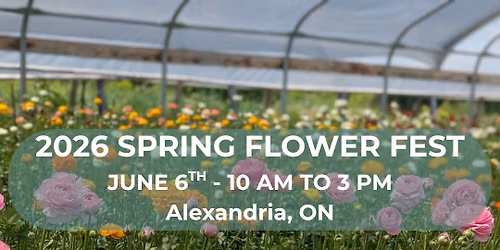 Spring Flower FEST