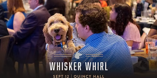 Whisker Whirl