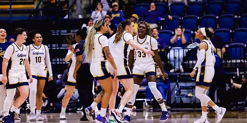 California Golden Bears at NC State Wolfpack Womens Volleyball