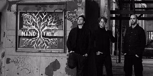 M I N D  T R E E: Matic \u0160temberger (piano, keyboards) Peter Smrdel (bass), \u017diga Smrdel (drums)