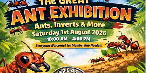 The Great Ant Exhibition Bristol 2026
