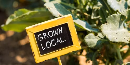 Beaches Green Market by Dig Local
