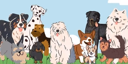 Schroniskowe psiaki szukaj\u0105ce domu