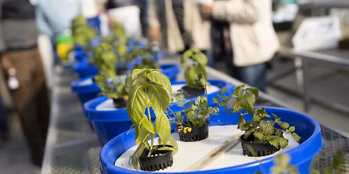 Make & Take Hydroponic Workshop