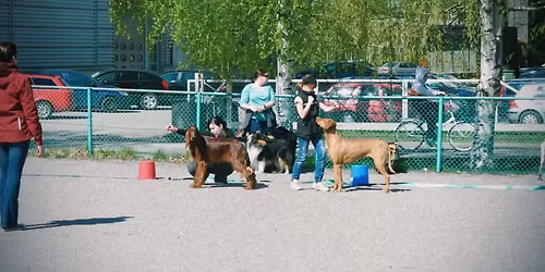 Kes\u00e4n avaus-Match show