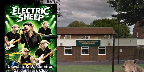 Electric Sheep @ Usworth & Washington Gardeners