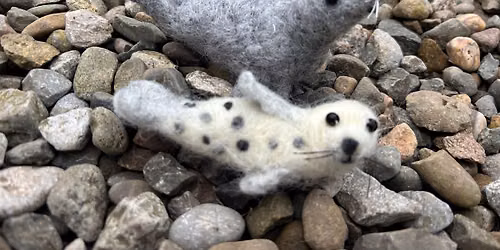 Needle Felted Cow & Pup Seal Workshop 