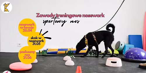 Treningowe zawody nosework - 2. Skok w NOSework