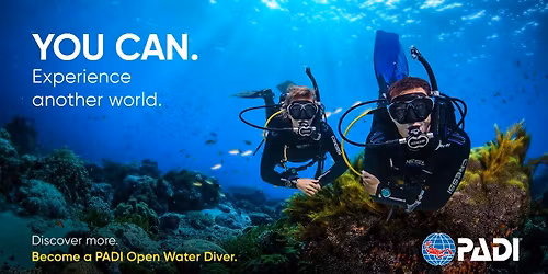 PADI Open Water Diver Course (Confined Water Training)