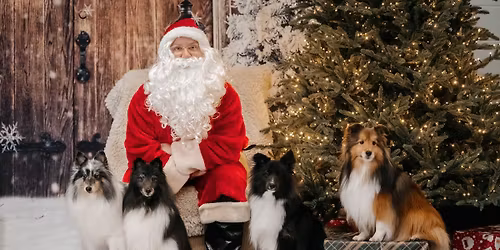 Ace's K9 Care Annual Santa Photos!