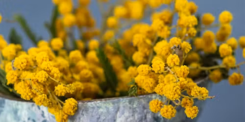 Unhurried Heart Retreat