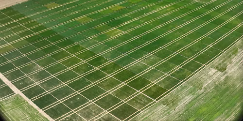 Unlocking the benefits of Dyson Farming Research membership