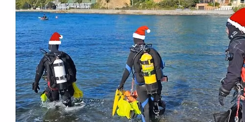 GDNZ End of Year Celebration