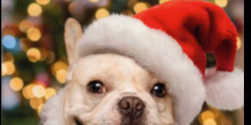 SANTA PAWS DART TOURNEY