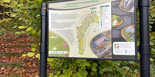 Green Thursday - Rakathon Thursday at Castlefield