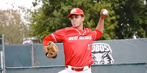 Parking Grand Canyon Lopes at New Mexico Lobos Womens Basketball