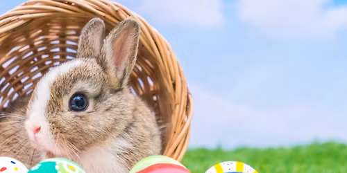 Pancakes with the Easter Bunny