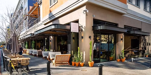 Peter Filice Trio at Zazil \/ El Jardin