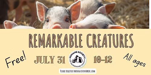 Remarkable Creatures with Nacogdoches Humane Society: Tater the Mini Pig