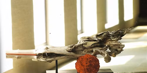 Floral Design Program: Abstract Design