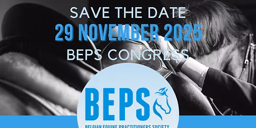 BEPS Congress 2025