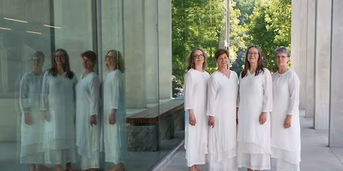 S\u00f8ndagsmatin\u00e9: Schola Gothia