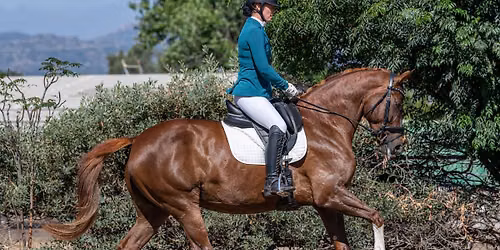 Dressage at PC *1 show