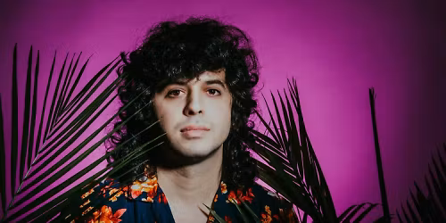 Flamingosis in Detroit