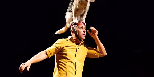 Le Cabaret renvers\u00e9 \/ CIRQUE