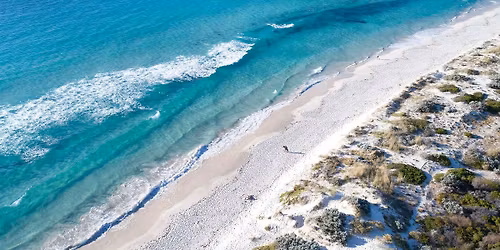 Paddle for a Purpose 2025 | Leighton Beach