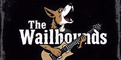 The Wailhounds live at Wrigley!