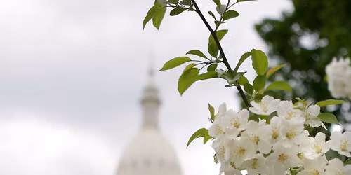 Traverse City May Evening Office Hour