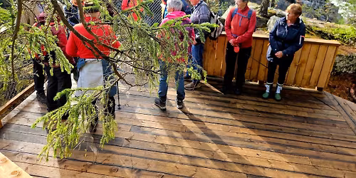 Ettermiddagstur p\u00e5 Harpefoss