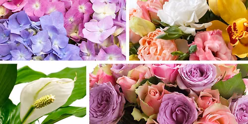 Floral Workshop