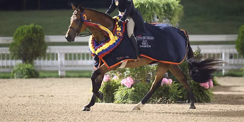 Platinum Performance\/USHJA International Hunter Derby Championship