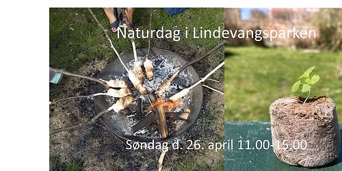 Naturdag i Lindevangsparken