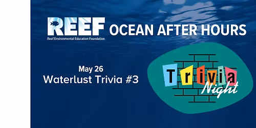 Ocean After Hours- Waterlust Trivia #3